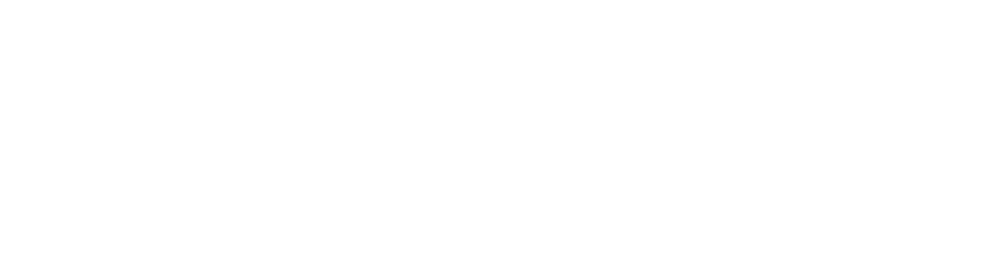 DVSA Approved Driving Instructor
